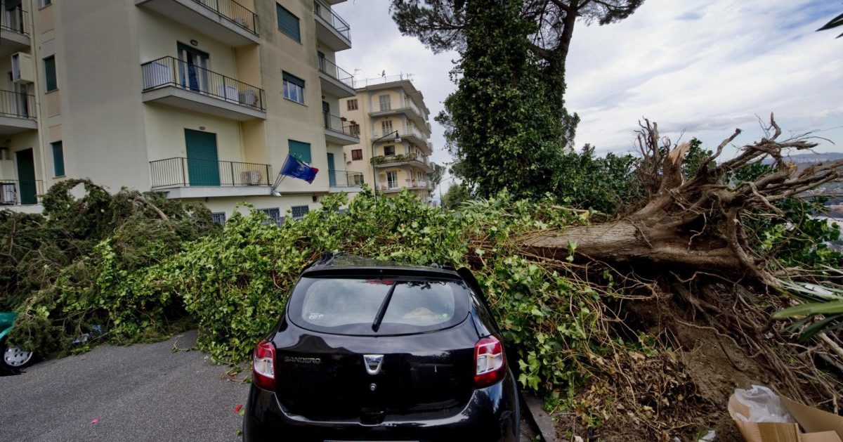 Foto – L’area nord di Napoli flagellata dal vento, traffico in tilt