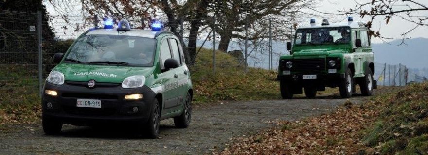 Liquami nel Lago Patria, sequestrata azienda di bufale
