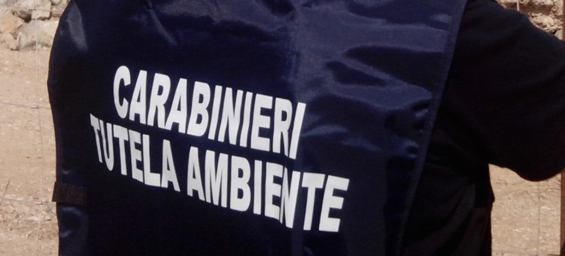 Afragola: arrestati tre individui per smaltimento illecito di rifiuti