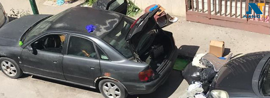 Afragola, quarantenne straniera vive in auto con 9 gatti