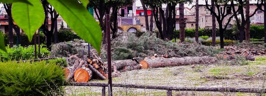 Afragola: Stop della sovraintendenza agli abbattimenti in pineta