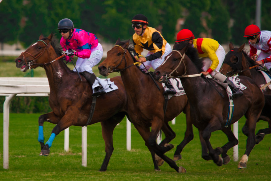 Aversa: Gare di equitazione truccate, cavallo dopato