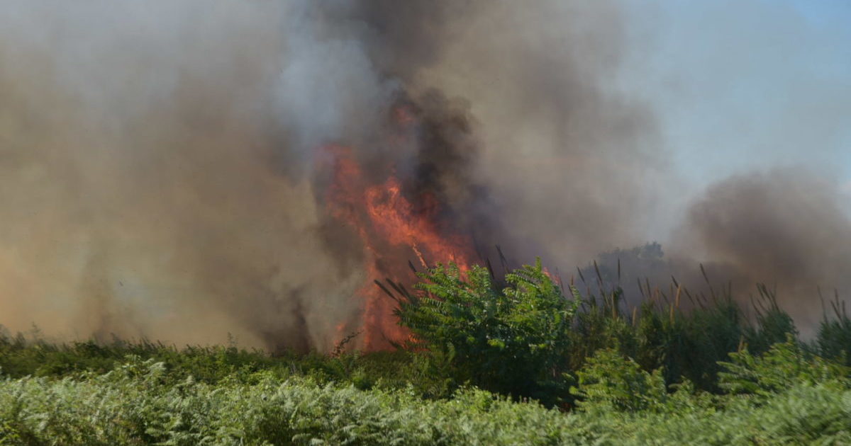 Incendio tra Quarto e Monterusciello: Cenere e fumo su Giugliano