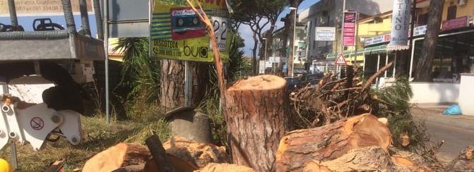 Giugliano: Via Staffetta, sopralluogo di amministrazione ed ambientalisti