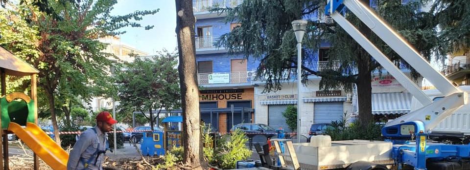Giugliano: partita la messa in sicurezza di strade e piazze col taglio di alberi a rischio