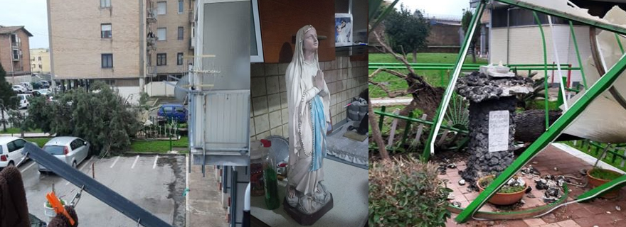 Casoria: Albero distrugge cappella, ma la statua della Madonna è intatta
