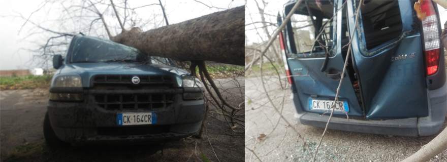 Un albero colpisce in pieno un furgone nelle Salicelle di Afragola: proteste dei residenti che ancora non ricevono alcun intervento