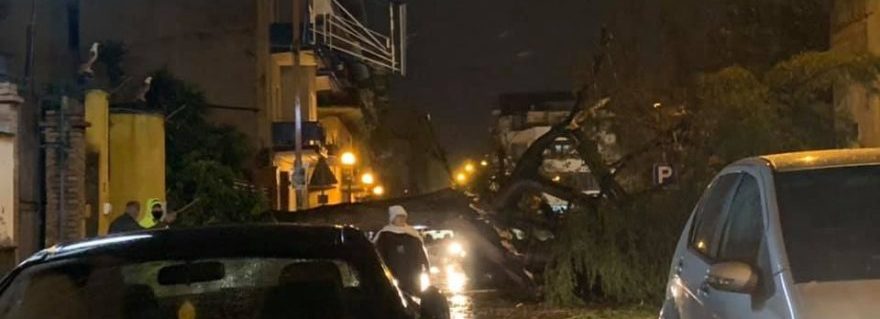 Albero cade in via Duca D’Aosta, Casoria e Afragola spezzate in due