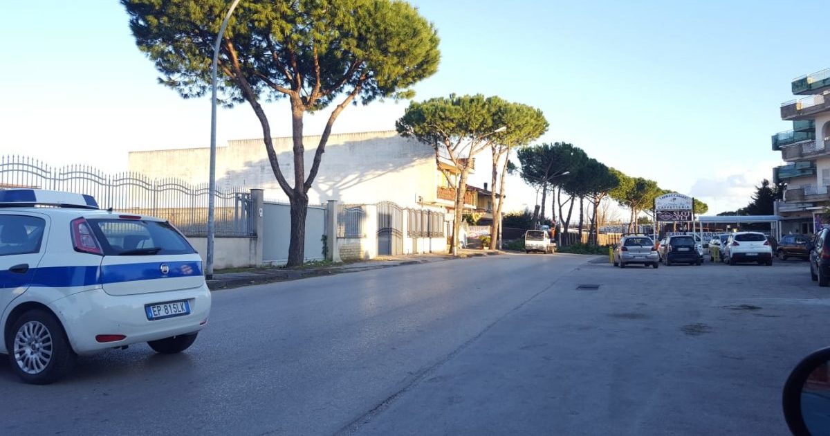 Cardito: Caduto un albero sfiorata la tragedia