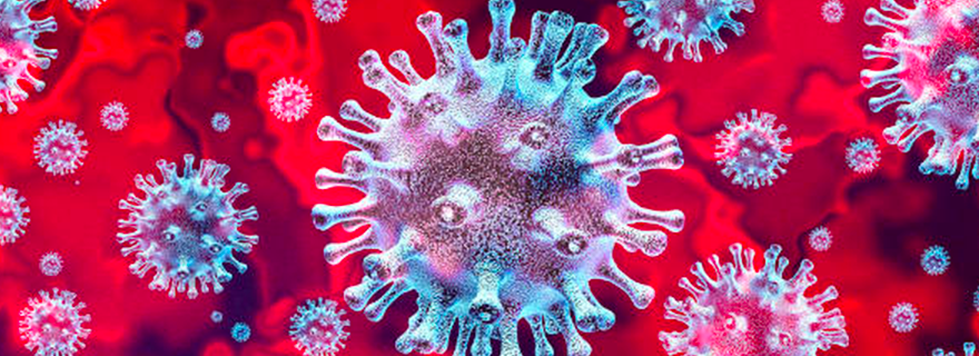 Coronavirus: Da Roma confermano il caso della 24enne di Caserta