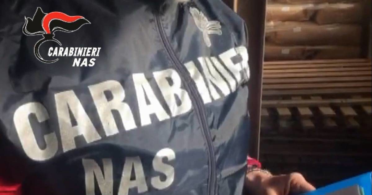 Frattamaggiore: sequestro dei NAS in una rivendita di ortofrutta