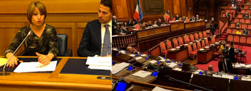 Vento di crisi al governo, Michela Rostan: “Bocciato mio emendamento. Grande delusione”