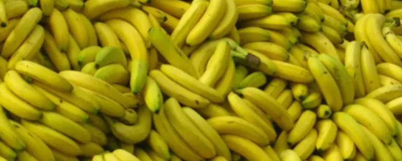 Una tonnellata di banane arrivano ad Afragola e Cardito da un donatore anonimo