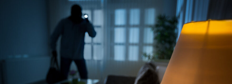 Casalnuovo: Emergenza topi d’appartamento in città