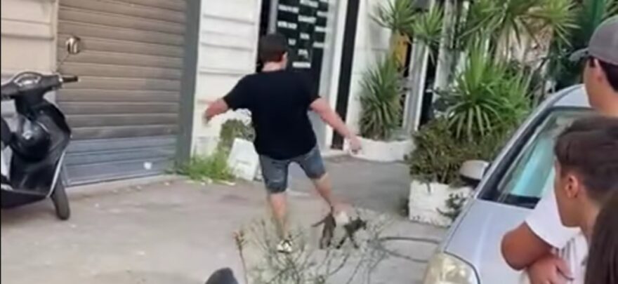 Casoria: Calcio al gatto, denunciati due minorenni