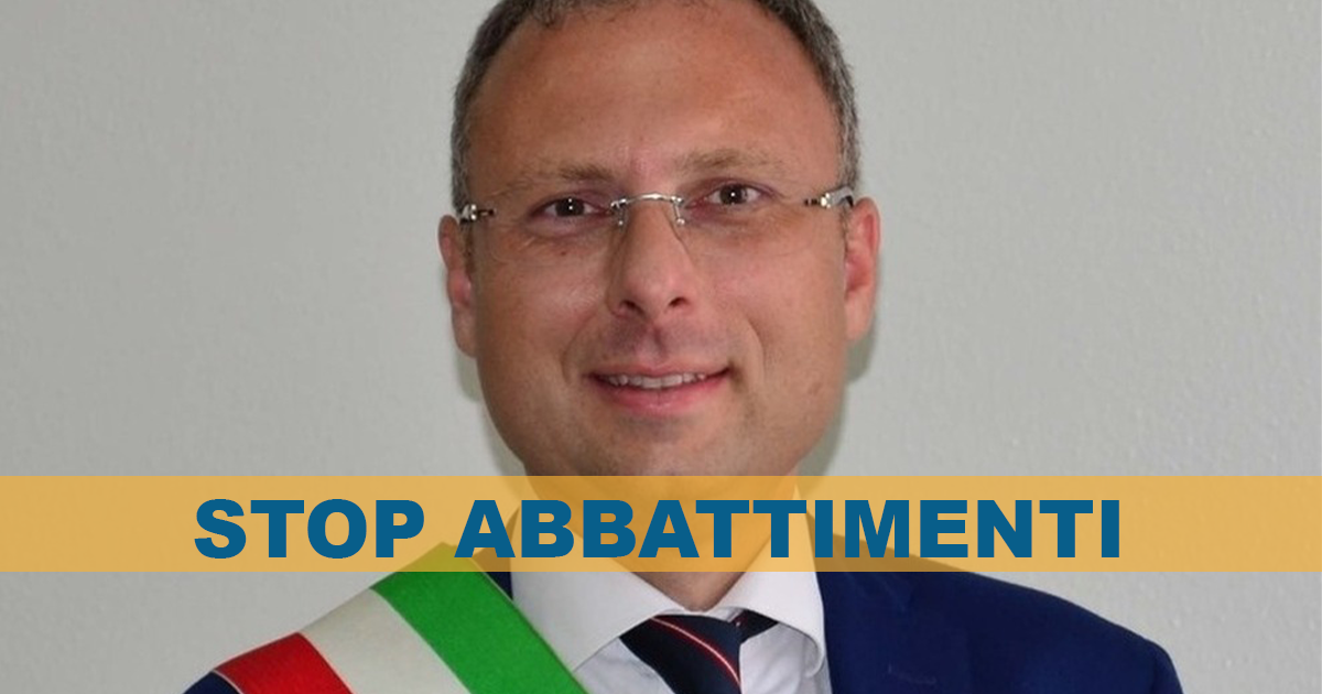 Casoria, Il Sindaco Bene sottoscrive l’appello a Draghi per lo stop agli Abbattimenti