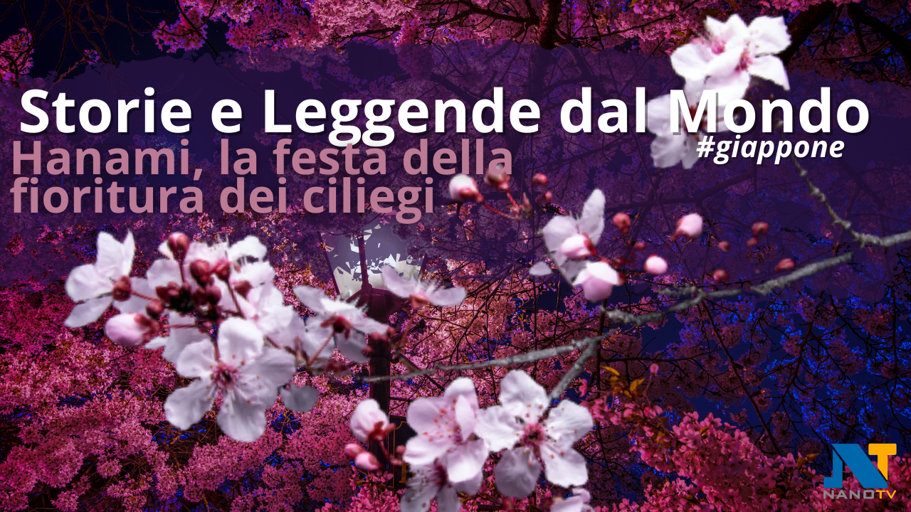 Storie e leggende dal mondo – Hanami, la festa della fioritura dei ciliegi