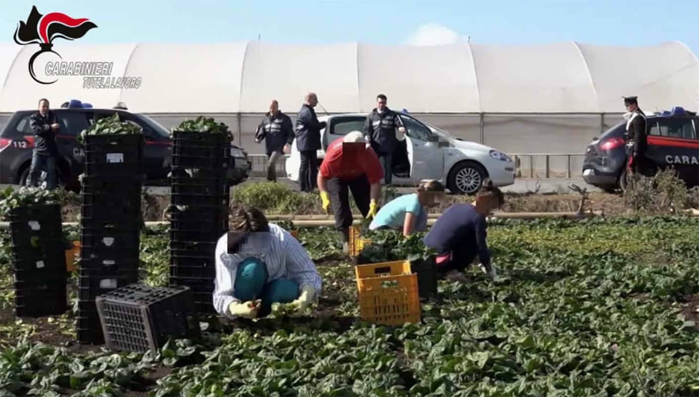 Sfruttamento del lavoro: Arrestati due imprenditori e sequestri per 2 milioni di euro in provincia di Caserta