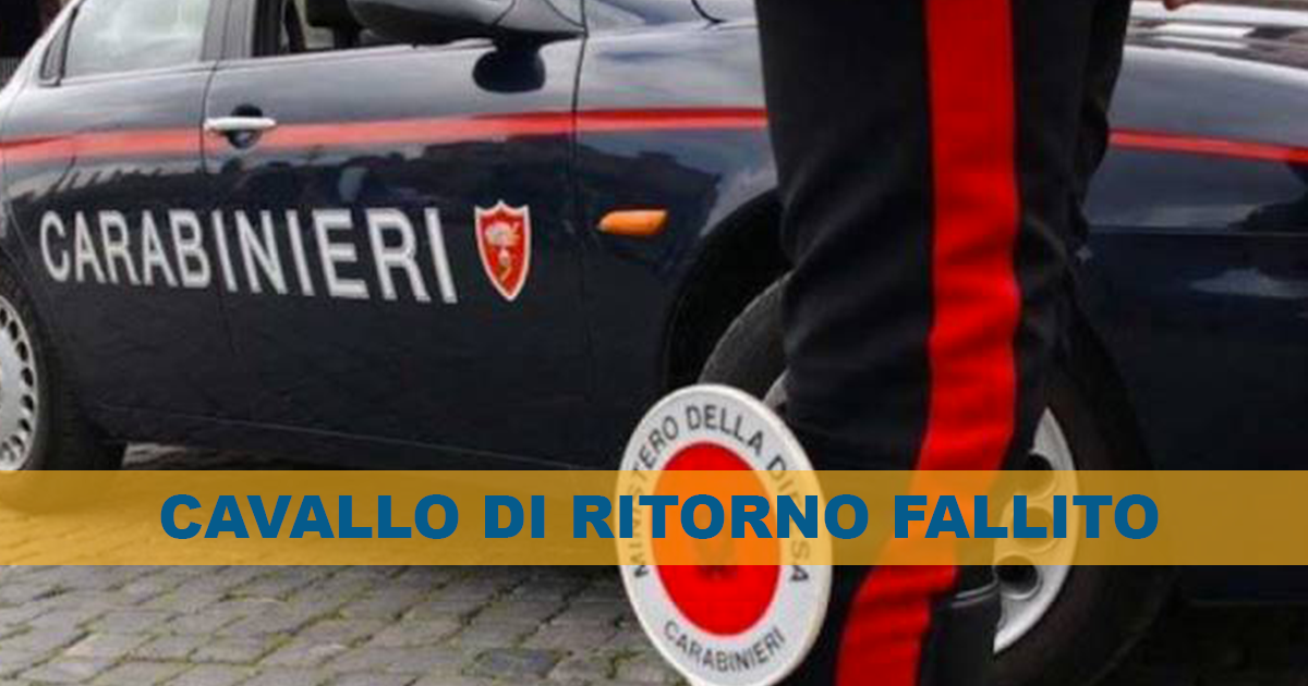 Afragola, cavallo di ritorno la vittima mentre è in caserma: riconosciuto dalla voce e arrestato