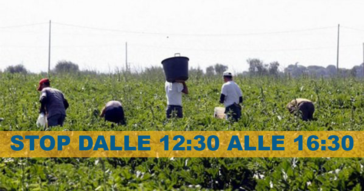 Afragola: il Commissario vieta il lavoro nei campi tra le 12:30 e le 16:30 fino al 31 Agosto