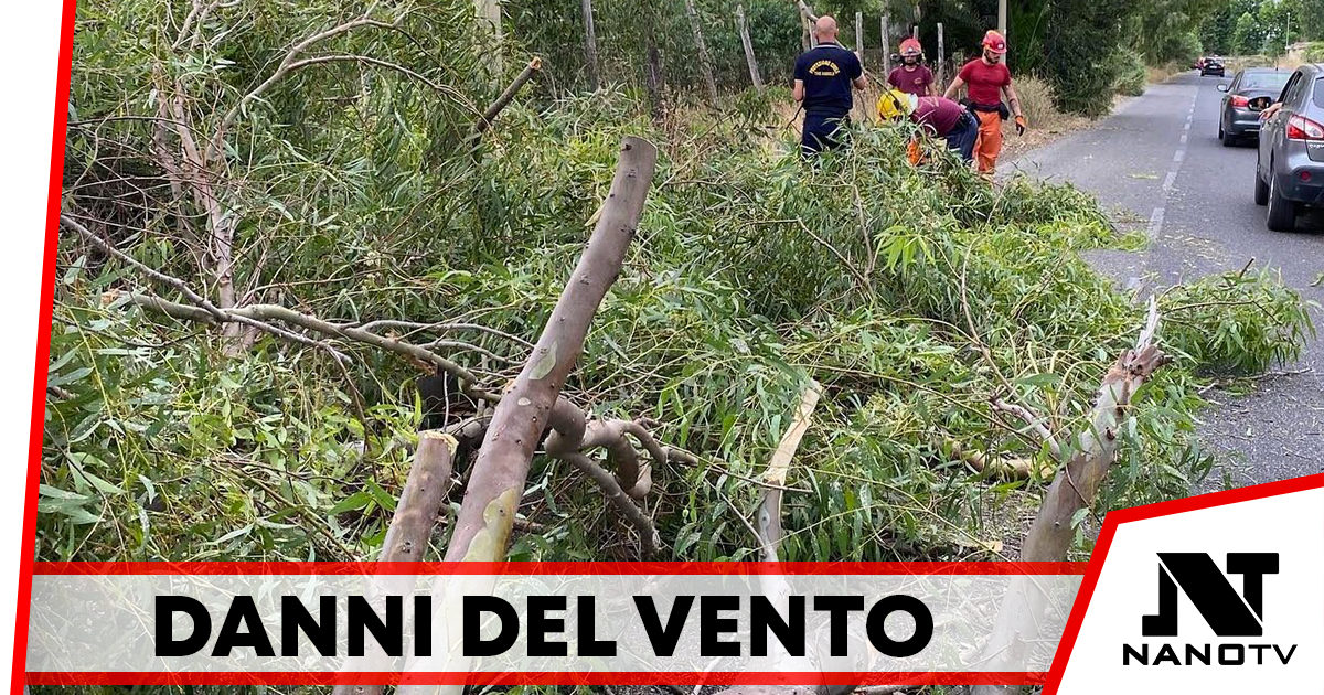 Grumo Nevano: il forte vento spezza ramo di un albero, danni ad un’auto