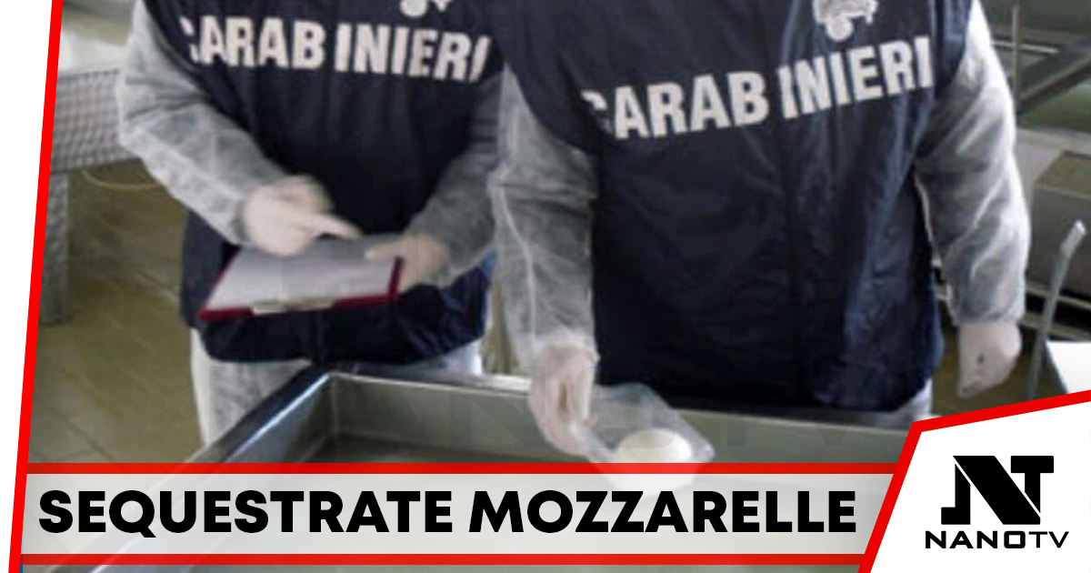 Sequestrati 128 kg di mozzarella: caseificio utilizzava latte vaccino e non di bufala come dichiarato