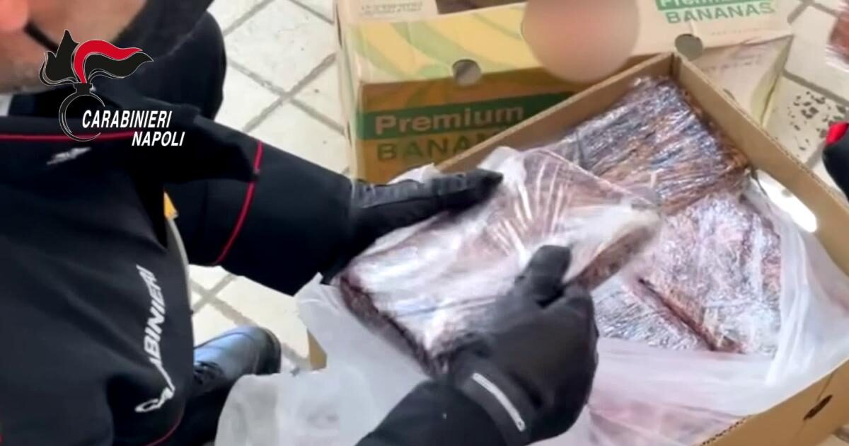 Frattamaggiore: colpo al traffico di droga, sequestrati 500kg di cocaina