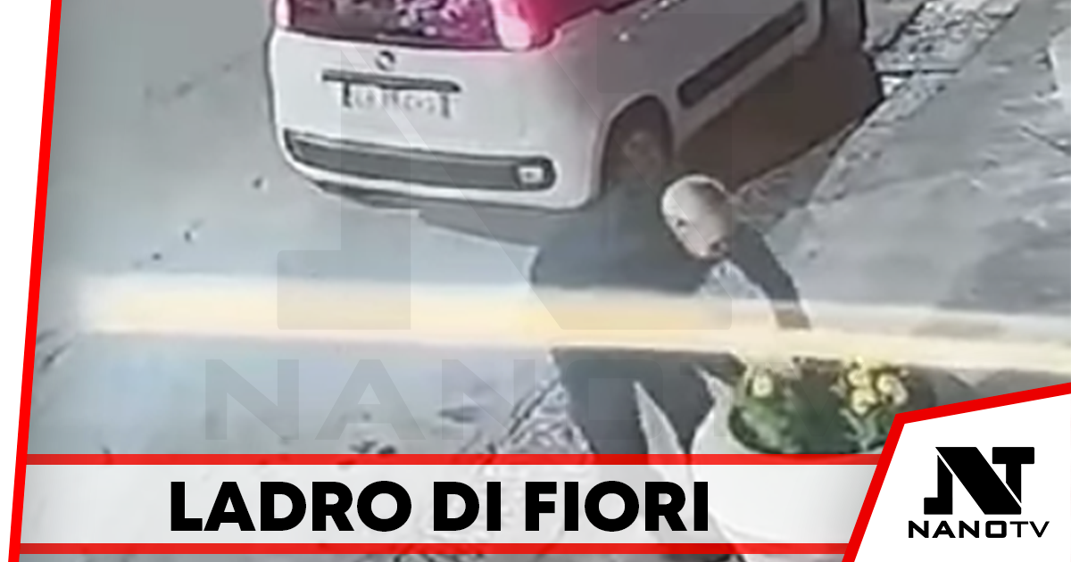 Grumo Nevano: Sradica le piante da una fioriera pubblica, le carica in auto e le porta via