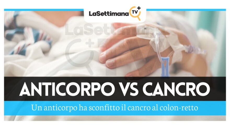 Un anticorpo ha sconfitto il cancro al colon-retto