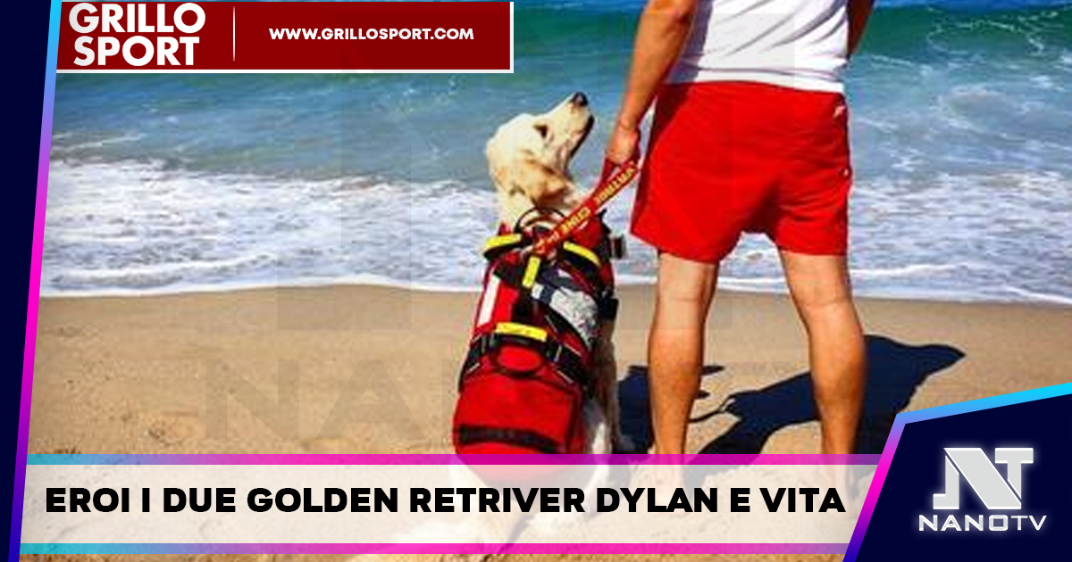 Affonda pedalò, cani bagnino salvano cinque ragazzi a Palinuro