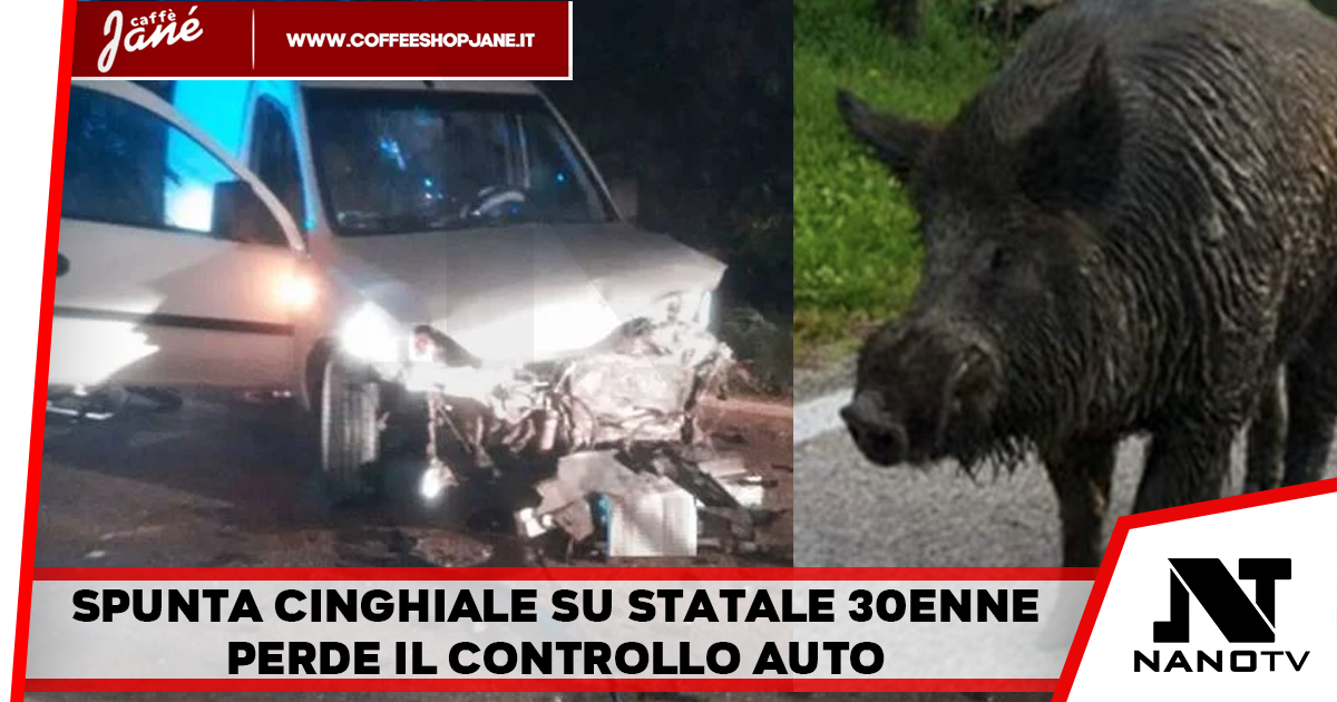 Perde il controllo dell’auto alla vista di un cinghiale lungo una statale: ferite mamma e figlia