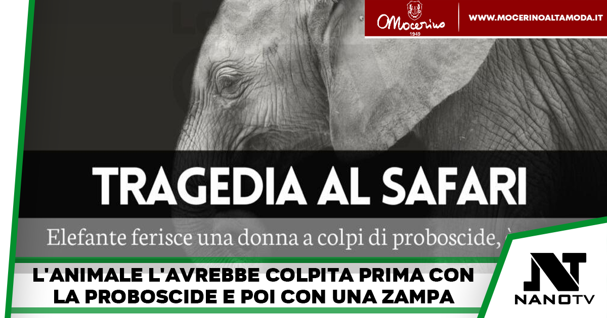Tragedia al Safari Park: elefante colpisce una donna a colpi di proboscide, è grave