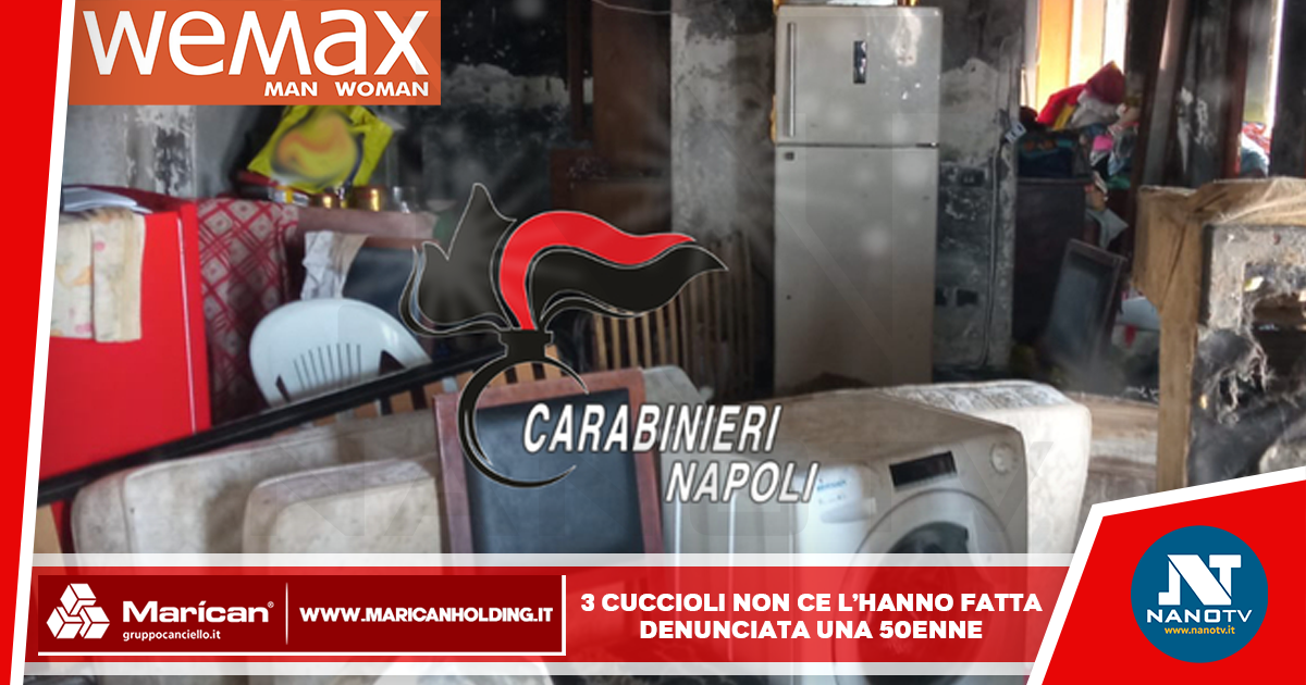 30 cani, tra cui 8 cuccioli, abbandonati in un appartamento dopo lo sfratto di una donna 50enne