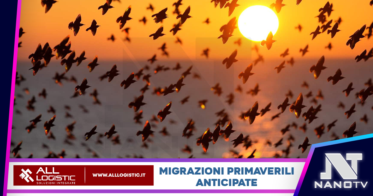 A causa del cambiamento climatico gli uccelli stanno anticipando le migrazioni