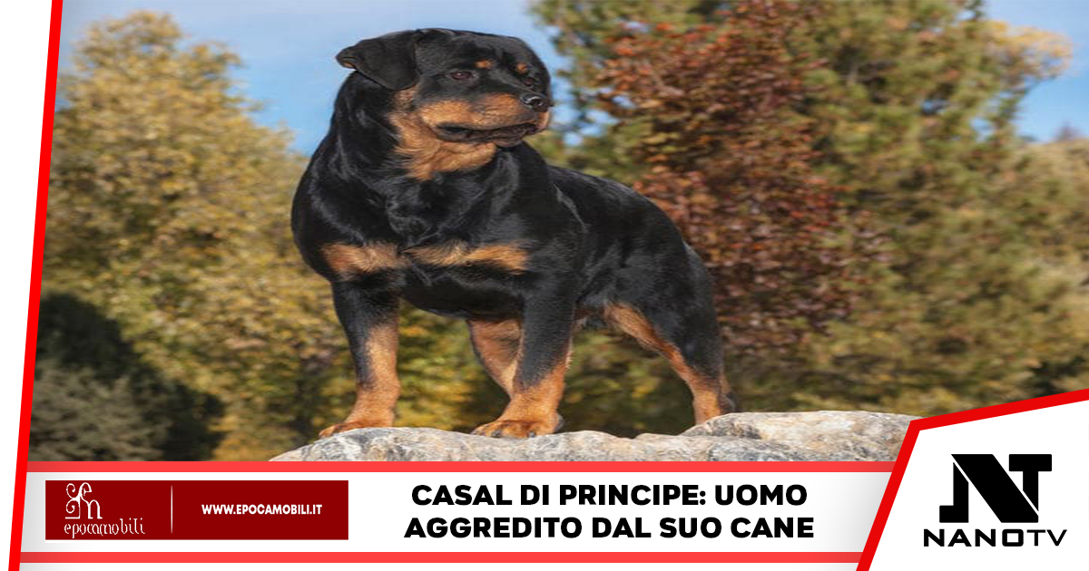 Aggredito dal suo cane a Casal di Principe