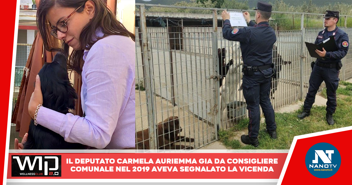 Sequestrato il canile “La Sfinge”: Auriemma (M5S) “vicenda scandalosa, immediata un interrogazione”