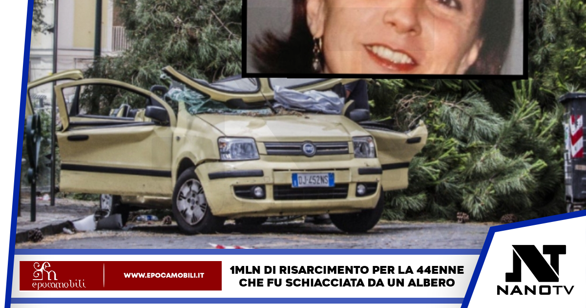Napoli: un milione di euro come risarcimento alla famiglia della donna morta schiacciata da un pino