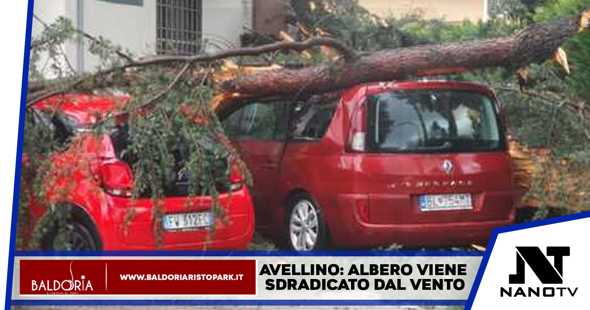 Avellino: albero si abbatte su sue auto