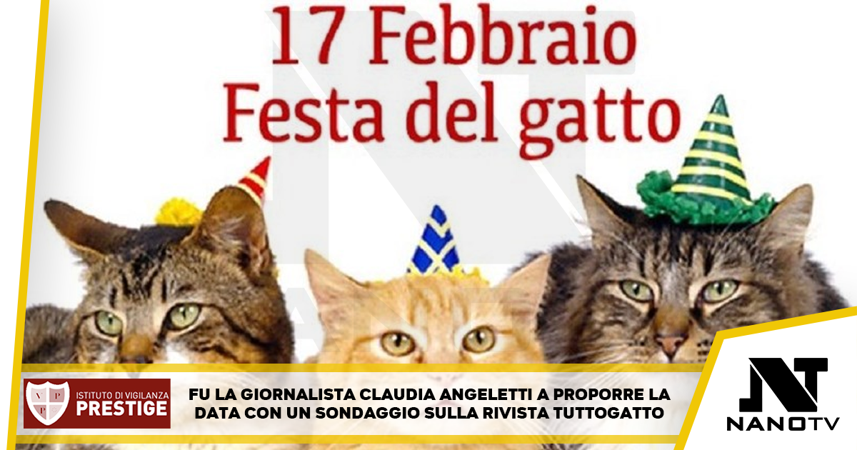 Il 17 febbraio si festeggia la Gionata Nazionale del Gatto
