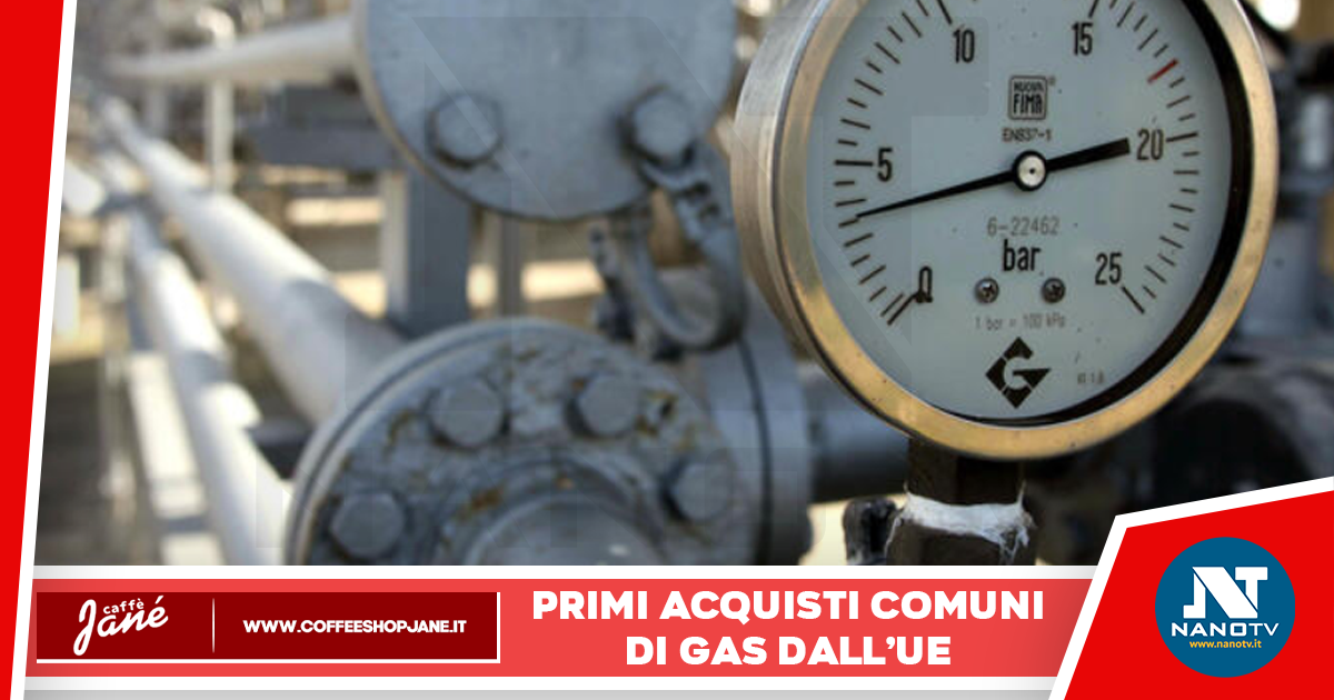 Crisi energetica: Primi acquisti comuni di gas dall’Ue, 2,3 miliardi di metri cubi all’Italia