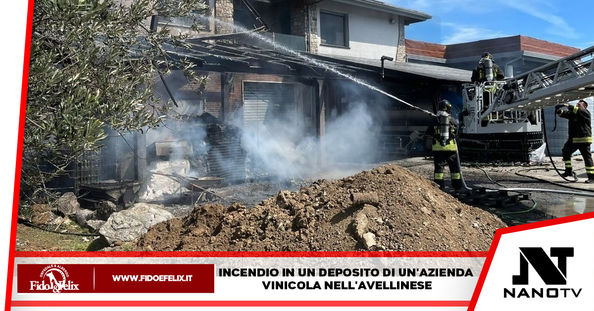Incendio in un deposito di un’azienda vinicola nell’Avellinese