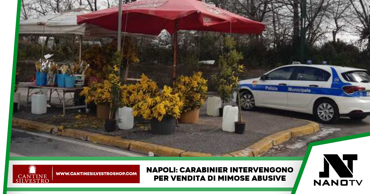 Vendita di mimose abusive a Napoli