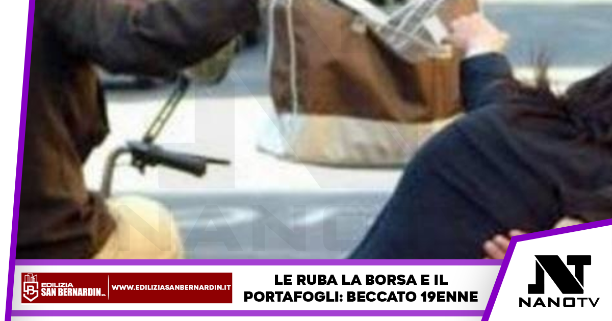 19enne trascina una donna a terra per scipparle la borsa