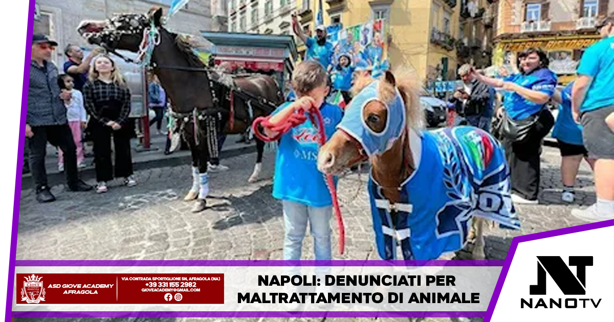 Napoli: denunciati per maltrattamento di animale, colorano un asino di azzurro e lo fanno sfilare