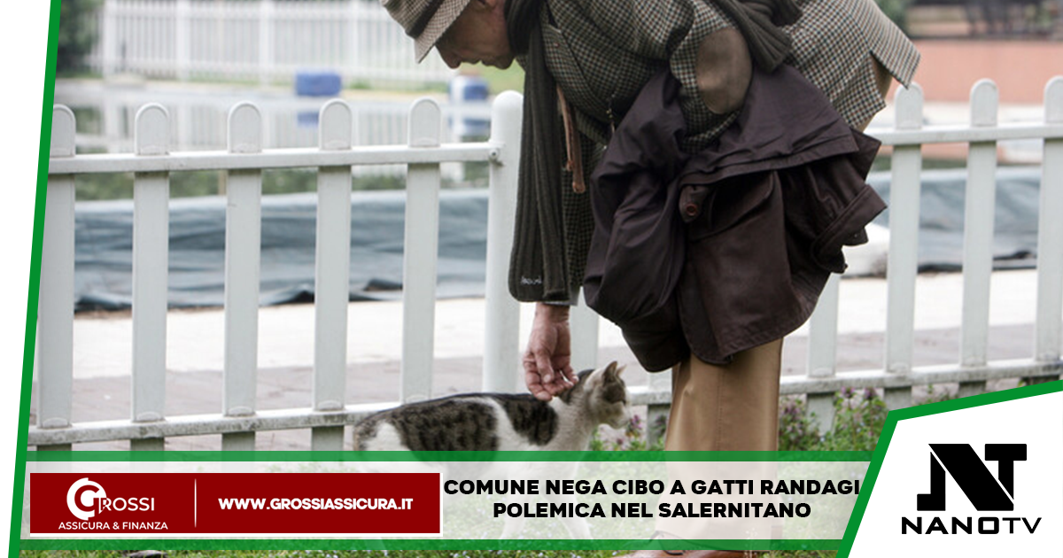 Cetara, Costiera Amalfitana: Comune nega cibo ai gatti randagi, “Gattari” sul piede di guerra