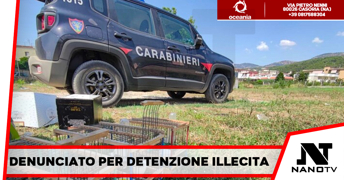 Deteneva illegalmente dieci cardellini, denunciato nel Napoletano