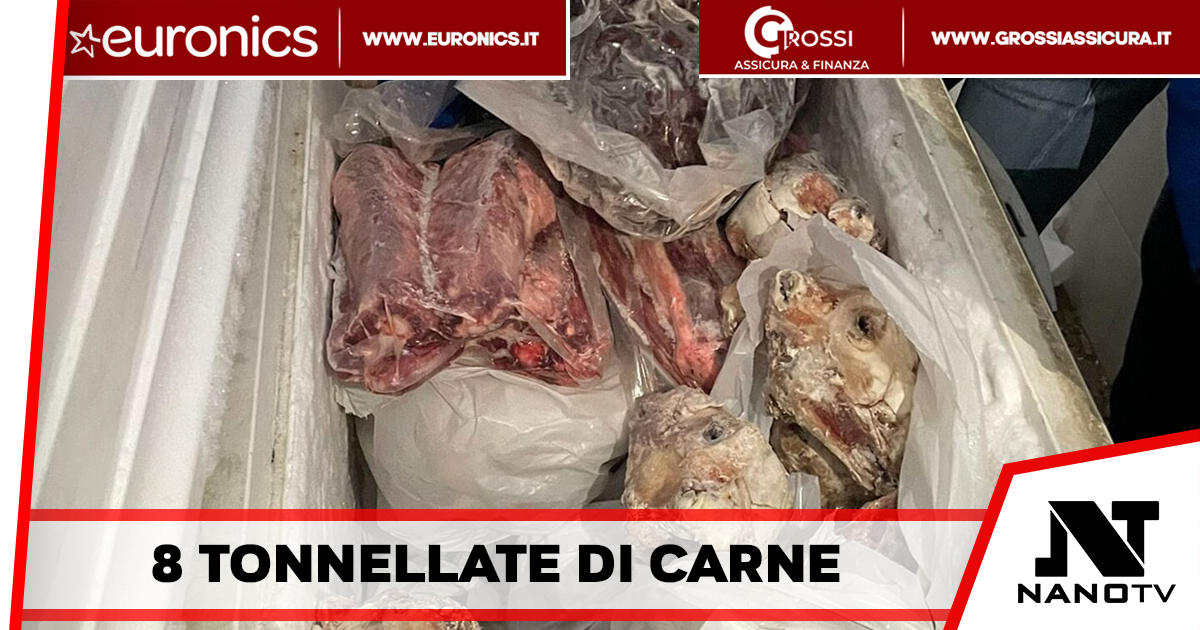 Poggioreale – Scoperto uno stabilimento dedicato alla produzione di frattaglie cotte, sequestro di 8 tonnellate di carne