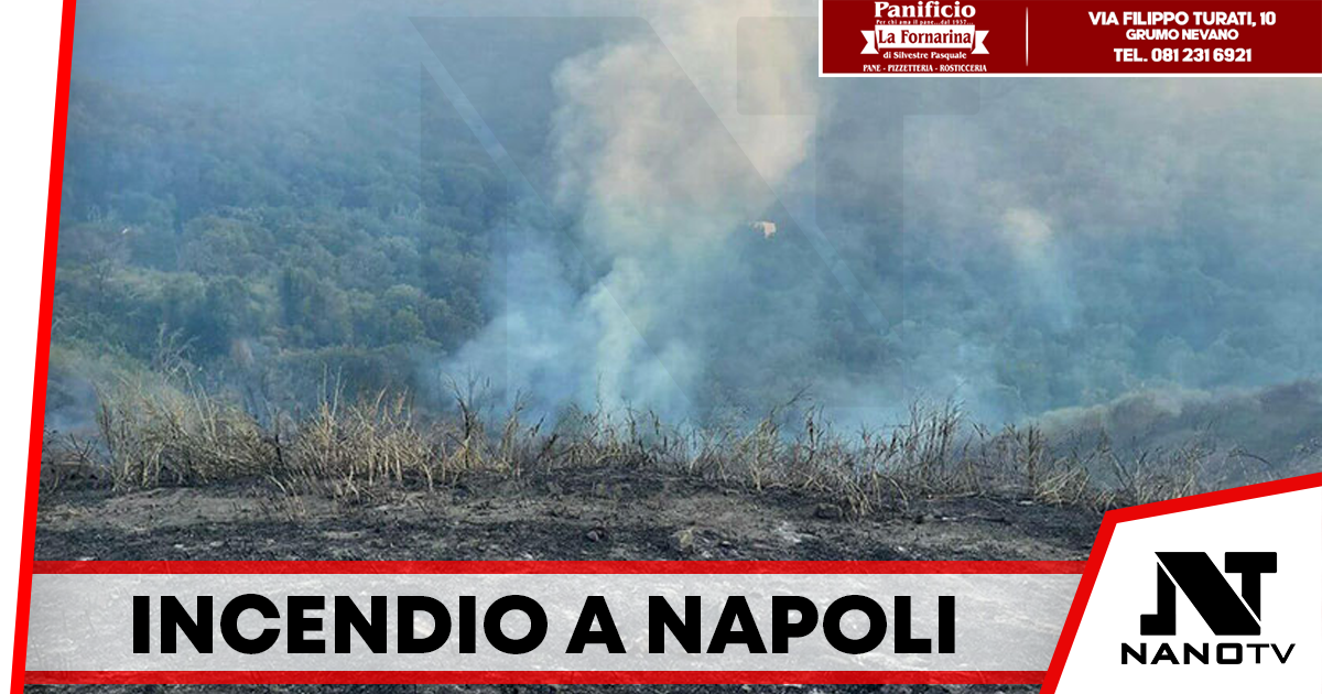 Incendio doloso nell’Oasi WWF degli Astroni: Individuati e arrestati i responsabili