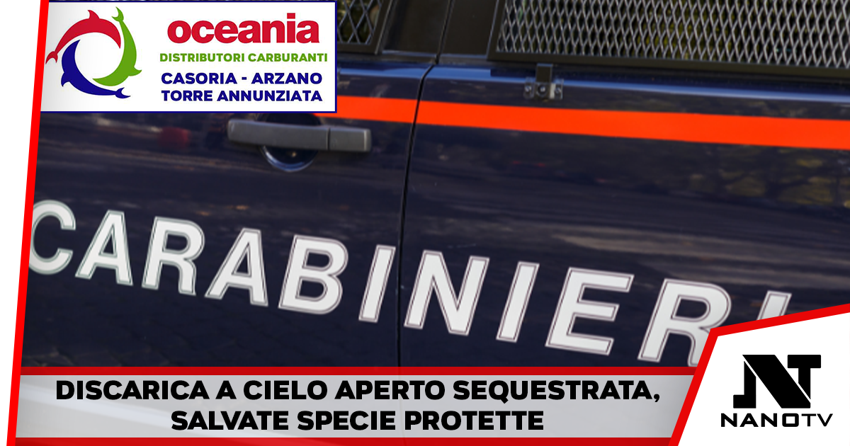 Centola: discarica a cielo aperto, ma si tratta di un’area “custode” di specie potette. Disposto il sequestro