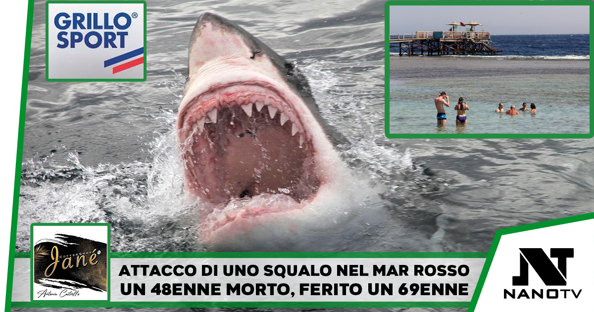 Due turisti italiani attaccati da uno squalo a Marsa Alam: uno è morto, l’altro è ferito